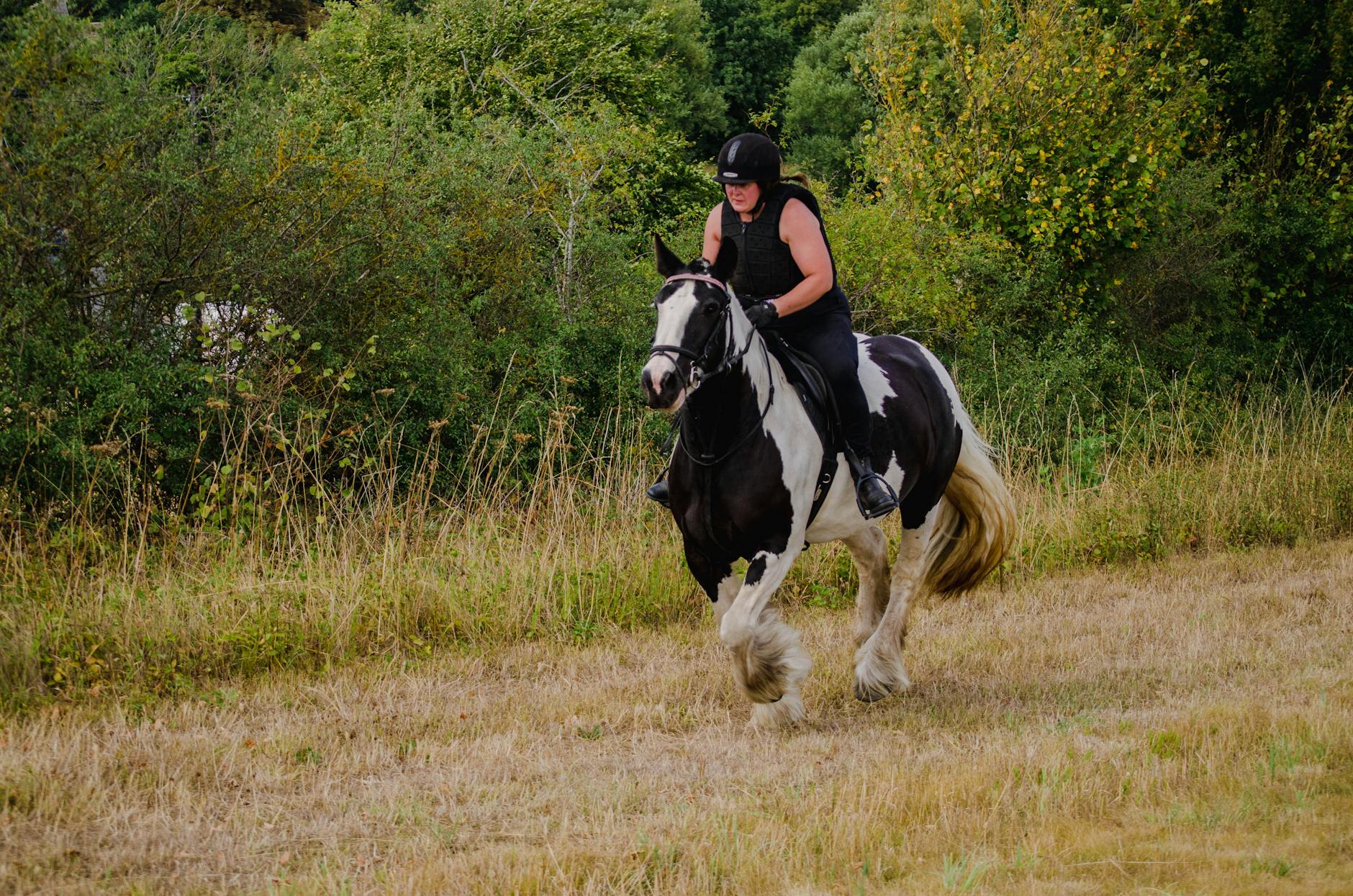 Kobieta w bryczesach jedzie konno przez jesienną, zieloną łąkę
