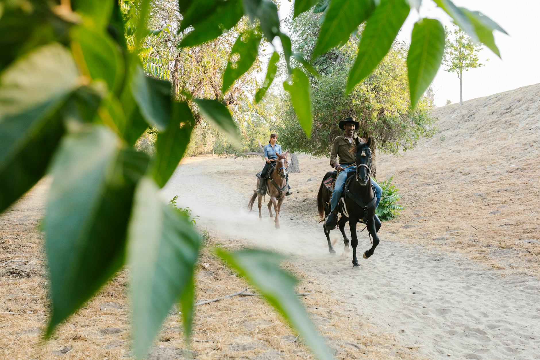 Dwóch jeźdźców w terenie na leśnej ścieżce konno