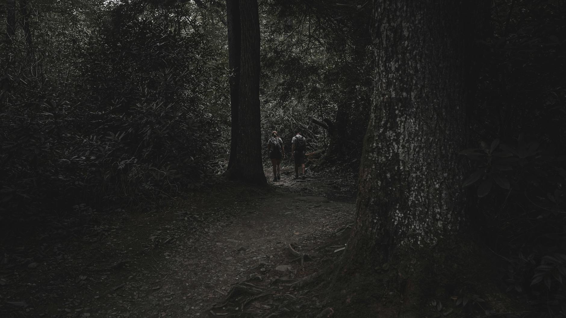 Dwoje turystów idzie ciemnym leśnym szlakiem poza miastem