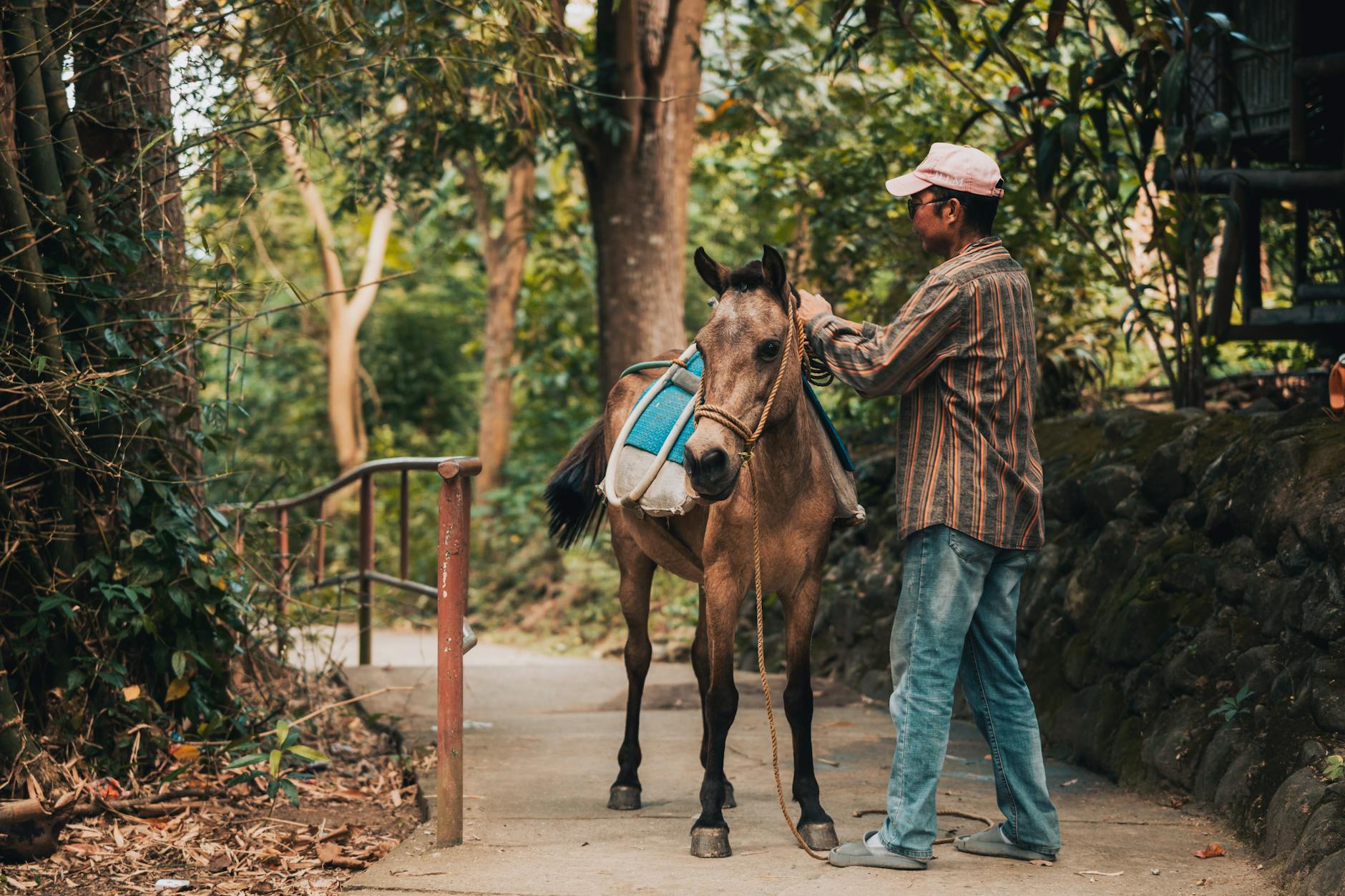 Jeździec prowadzi konia z sakwami na leśnym szlaku podczas terenowej wyprawy