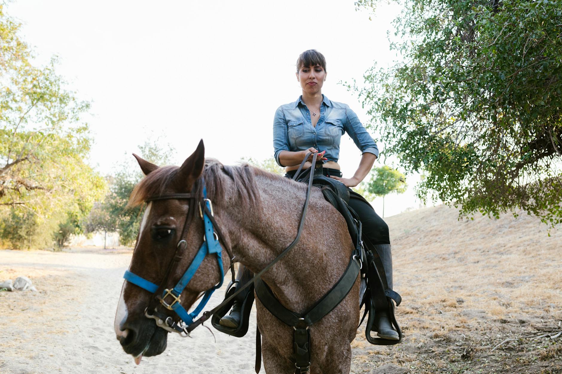 Kobieta w dżinsowej koszuli jedzie konno słoneczną leśną ścieżką