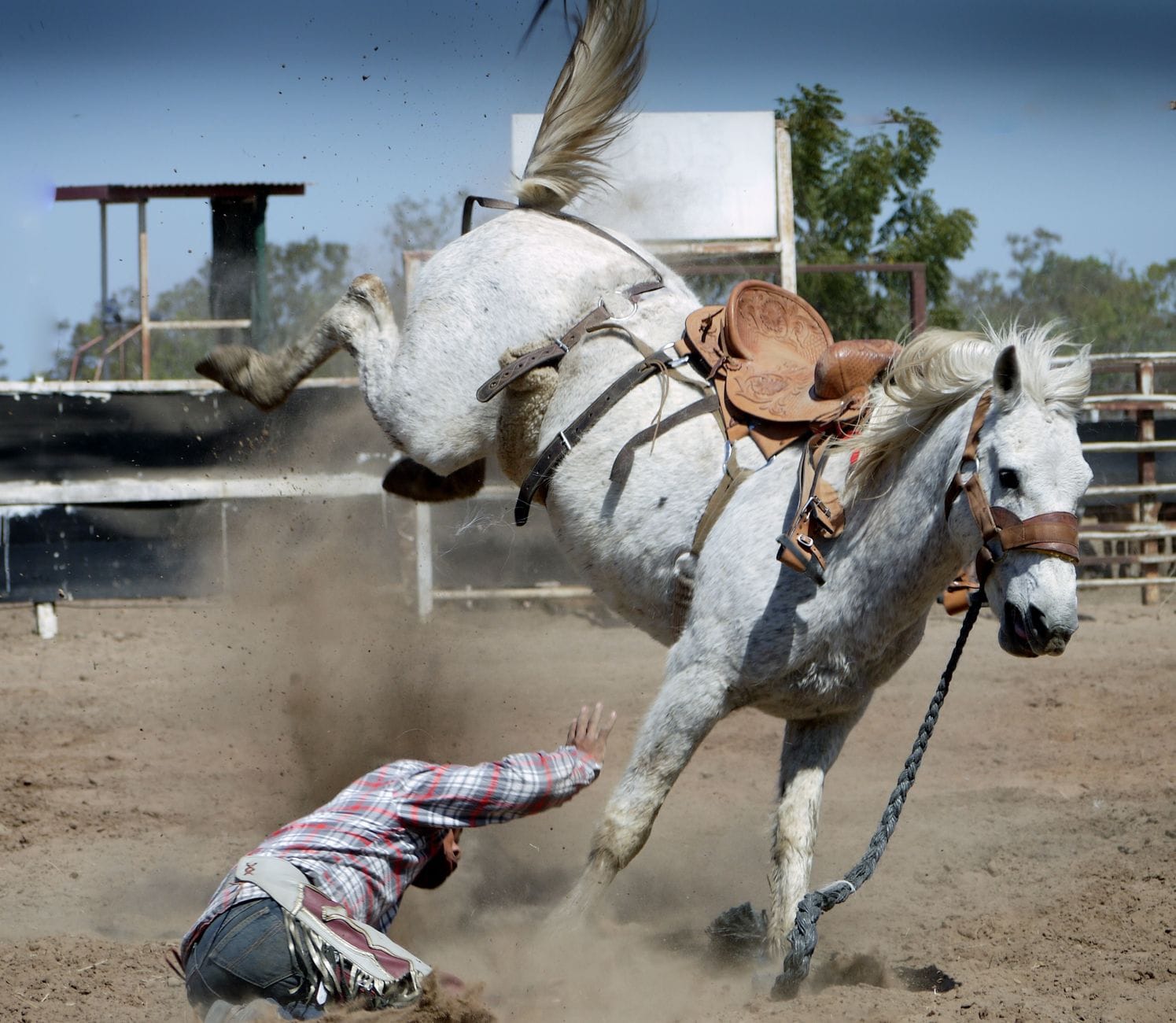 Kowboj spada z wierzgającego białego konia na rodeo w plenerowej arenie